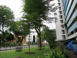 Brickworks Estate (D3), Shop House #529677571
